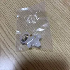 JOCHUM めじるしアクセサリー　RURU