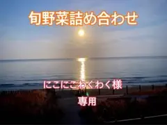 【専用】旬野菜 詰め合わせ