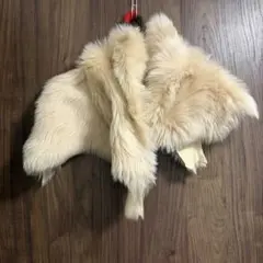 2025年最新】KARL DONOGHUEの人気アイテム - メルカリ