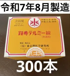 2025年最新】イトオテルミー テルミー線の人気アイテム - メルカリ