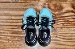 アシックス　ゲルニンバス　ASICS GEL-NIMBUS 22.5cm