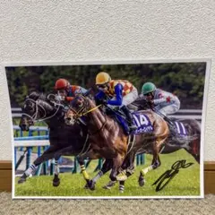 【非売品】第86回日本ダービー ロジャーバローズ　額縁入り優勝記念パネル 非売品】第86回日本ダービー ロジャーバローズ 額縁入り優勝記念パネル