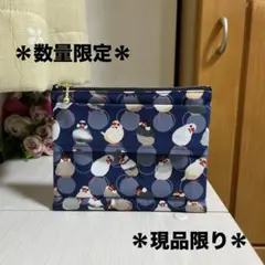 文鳥　水玉模様　鳥柄　ポケットティッシュポーチ　大きめ　ハンドメイド