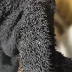 ジェラピケ　バスローブ