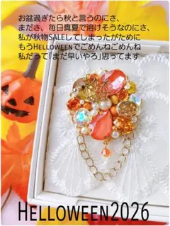 送料込【B級品】秋♪HALLOWEEN先取り♡オレンジ系かぼちゃ×不思議カラー