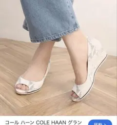 COLE HAAN パイソン柄 ウェッジソール 25cmのサムネイル