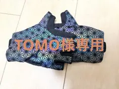 Item thumbnail for item 982c499c-6da3-48a2-b836-271d0d4189cb