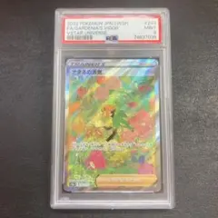 PSA10 ナタネの活気 SAR S12a VSTARユニバース 243/172 - メルカリ