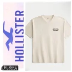 ◎割引あり◎L◎新品正規品◎ホリスター◎Tシャツ◎送料込