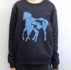 2026年最新】labyrins dont cry horseの人気アイテム - メルカリ
