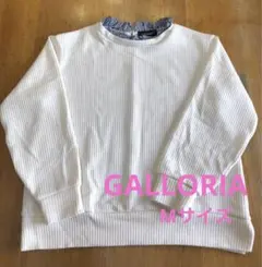 Item thumbnail for item bbf4dc93-a5ae-48c9-a8d9-917831dd347b