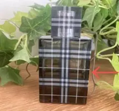 美品 Burberry バーバリー 香水 ブリット フォーメン 男性用 30ml