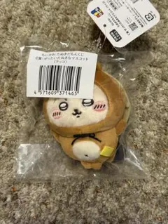 たぬきだもんくじ C賞 マスコット ラッコ