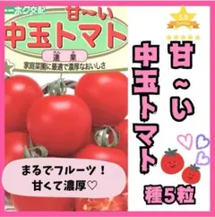 hana様 リクエスト 3点 まとめ商品