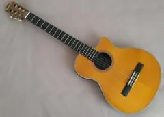 エピフォンエレアコ Epiphone