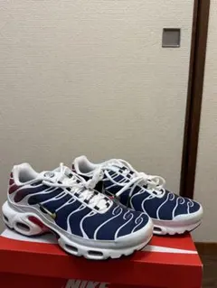 Nike Air Max Plus ネイビー/ホワイト