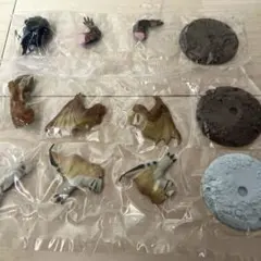 捕獲し隊３