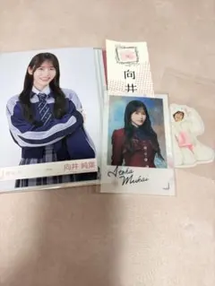 櫻坂46 向井純葉 まとめ売り