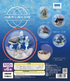 沖縄美ら海水族館 カプリウムコレクション ジンベエザメ ガチャ