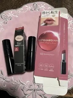 リップガーディアン 02 Visee ネンマクフェイクルージュPK850