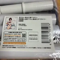 冴えない彼女の育てかた 深崎暮人 等身大タペストリー 加藤恵