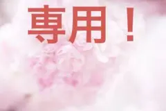 ◯スパイフィクション