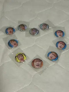 平成フラミンゴポケットくじ 缶バッチ2種類 - メルカリ