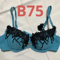 Item thumbnail for item c6157ae6-905b-4026-8f9d-263a4f47775b