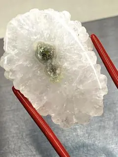 珍奇鉱物】インド フローライト ポンデリングフローライト 母岩付き