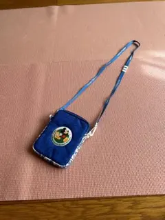 ディズニーバケーションパッケージのポーチ