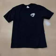 Item thumbnail for item 42de75dd-2128-43f4-a5bf-c70322cf1666