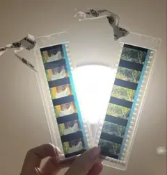 Item thumbnail for item ee2b938b-9d20-44c7-8c3e-ce9508be7126