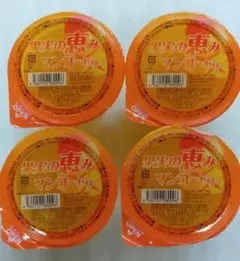 ゆりりん様専用ページ　果実の恵み　　マンゴーゼリー　48個