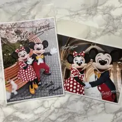 写真　ミキミニ　実写　ディズニーリゾート　旧フェイス