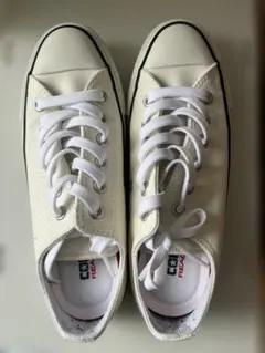 Item thumbnail for item 69a8306a-889c-4550-b535-1c0584f4cf5b