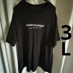 しまむら メンズ ブラックTシャツ 3L