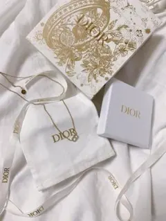 DIOR Petit CD シルバー ネックレス 美品 紙袋 リボン 箱 - メルカリ