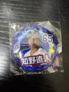 中日ドラゴンズ 知野直人 缶バッジ