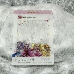 全プリキュア展 フレッシュプリキュア入場者特典 クリアカード