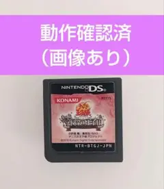 【動作確認済】2010年発売テニスの王子様もっと学園祭の王子様DSソフト