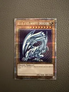 青眼の白龍　ブルーアイズホワイトドラゴン　英語版　プリズマ　プリシク