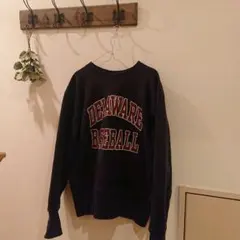 ヴィンテージ チャンピオン 青タグ DELAWARE BASEBALL