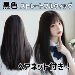 ウィッグ ロング ストレート 黒 セミロング 黒髪 カツラ 女性 ブラック 小顔のサムネイル