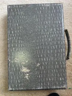 Item thumbnail for item bf9a3a53-9f74-40e3-b1b2-b730fb2487af