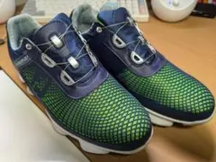 Item thumbnail for item 14c09f1c-3722-43ae-aa82-ab65020d8d06