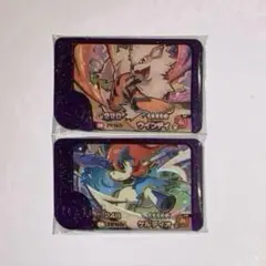 新品　ポケモンフレンダ　Zワザ　ケルディオ　ウインディ