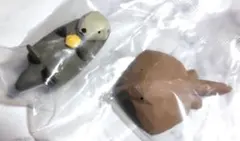 【２個セット】木彫りの動物たち マスコットフィギュア３　らっこ　あかえい