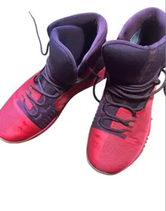 Item thumbnail for item 173f3019-0024-4ef3-91f8-9684bfff928b