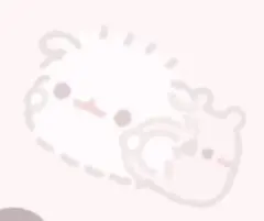 あい様専用ページ