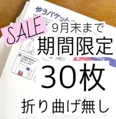 ゆうパケットポストmini専用封筒30枚 折り曲げ無し mini セール中